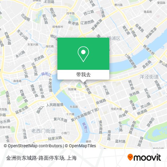 金洲街东城路-路面停车场地图