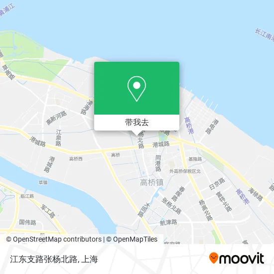 江东支路张杨北路地图