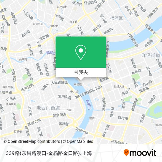 339路(东昌路渡口-金杨路金口路)地图