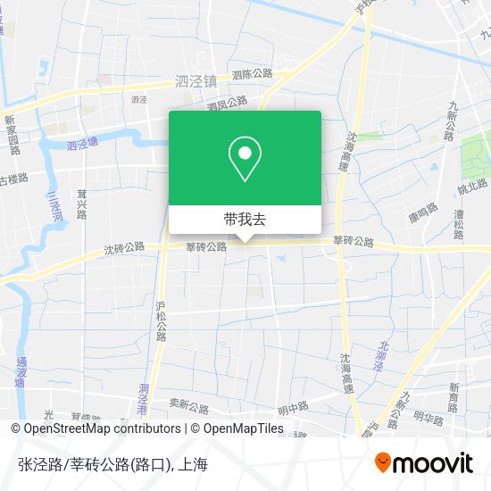 张泾路/莘砖公路(路口)地图