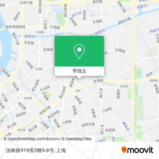佳林路919弄2幢5-8号地图