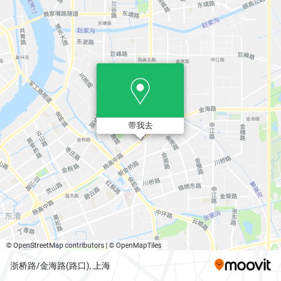 浙桥路/金海路(路口)地图