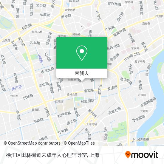 徐汇区田林街道未成年人心理辅导室地图