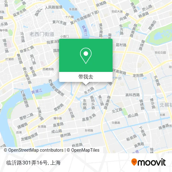 临沂路301弄16号地图