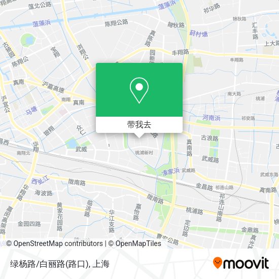 绿杨路/白丽路(路口)地图