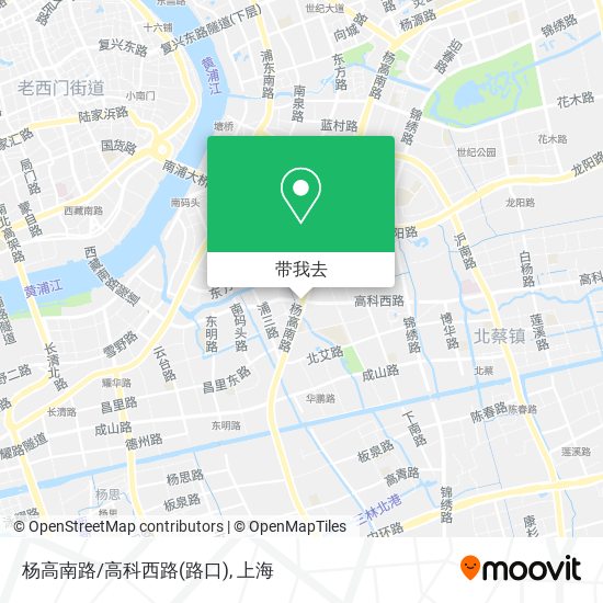 杨高南路/高科西路(路口)地图