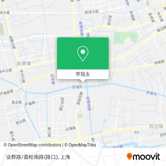 业辉路/嘉松南路(路口)地图