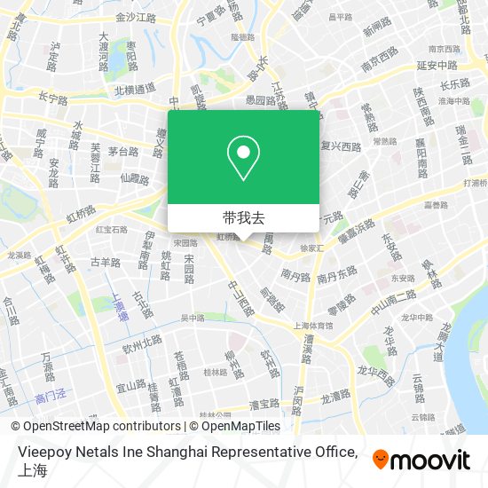 Vieepoy Netals Ine Shanghai Representative Office地图