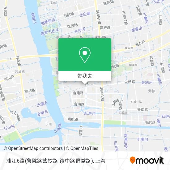 浦江6路(鲁陈路盐铁路-谈中路群益路)地图