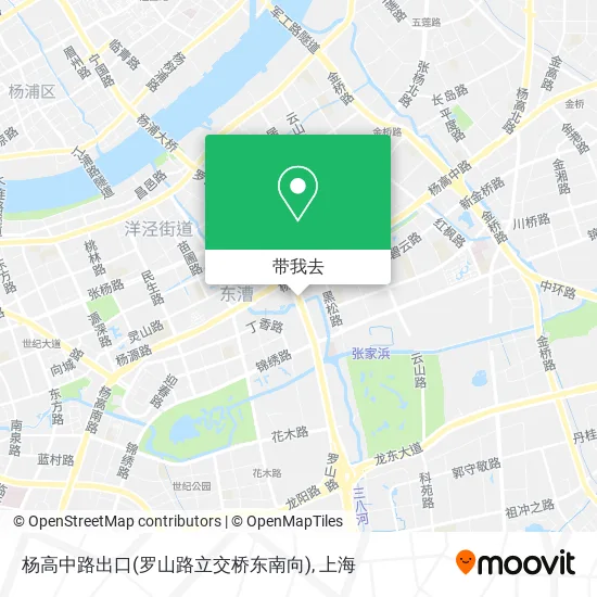 杨高中路出口(罗山路立交桥东南向)地图