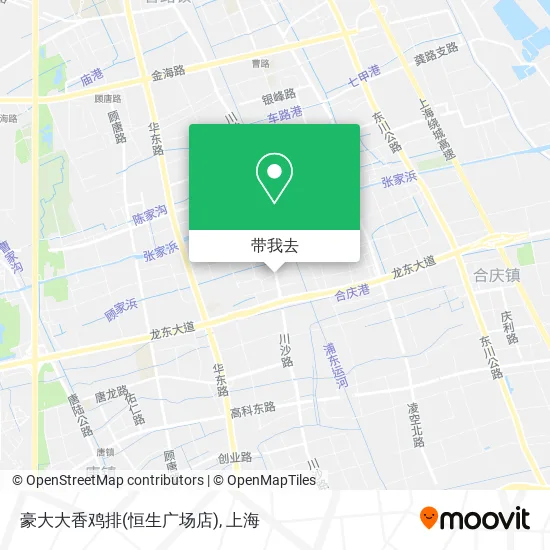 豪大大香鸡排(恒生广场店)地图