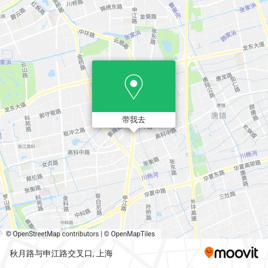 秋月路与申江路交叉口地图