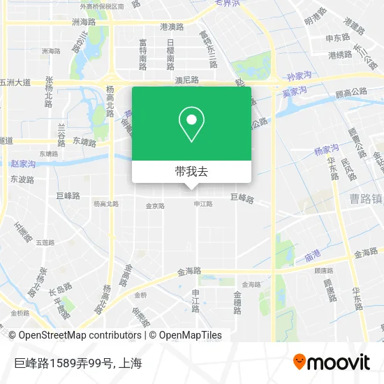 巨峰路1589弄99号地图