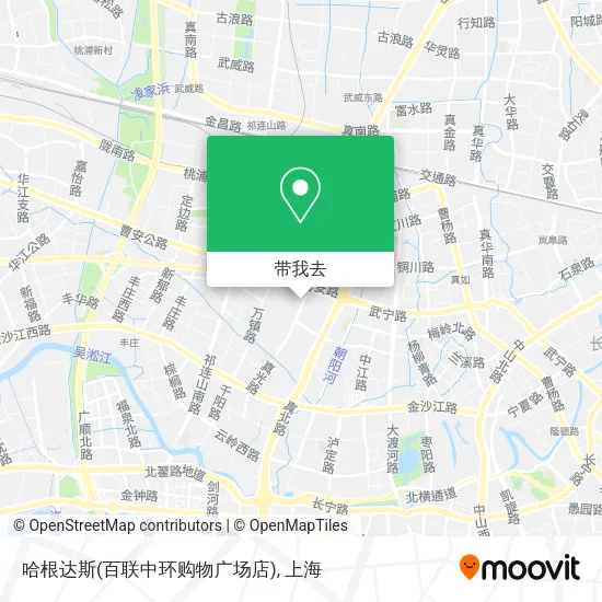 哈根达斯(百联中环购物广场店)地图