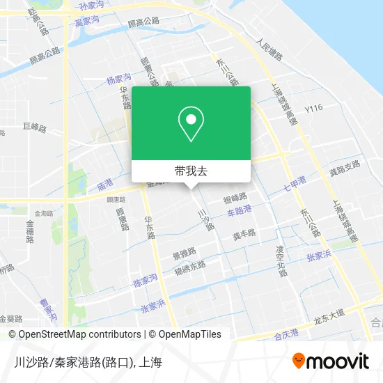 川沙路/秦家港路(路口)地图
