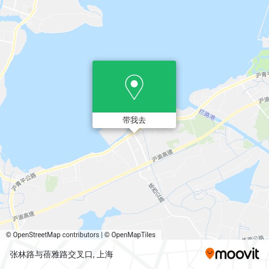张林路与蓓雅路交叉口地图