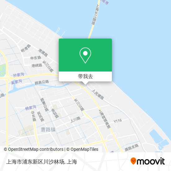 上海市浦东新区川沙林场地图