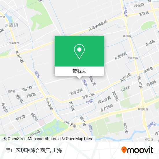 宝山区琪琳综合商店地图