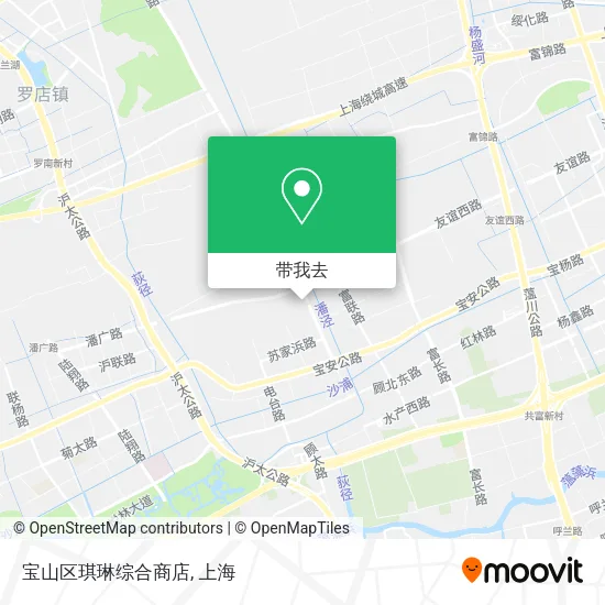 宝山区琪琳综合商店地图