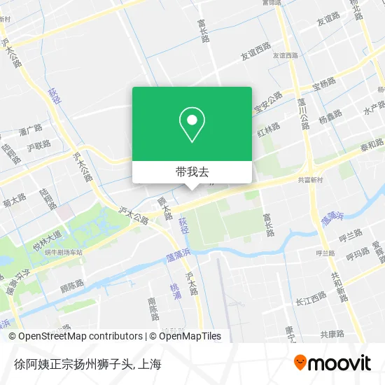 徐阿姨正宗扬州狮子头地图