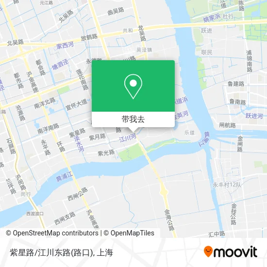 紫星路/江川东路(路口)地图