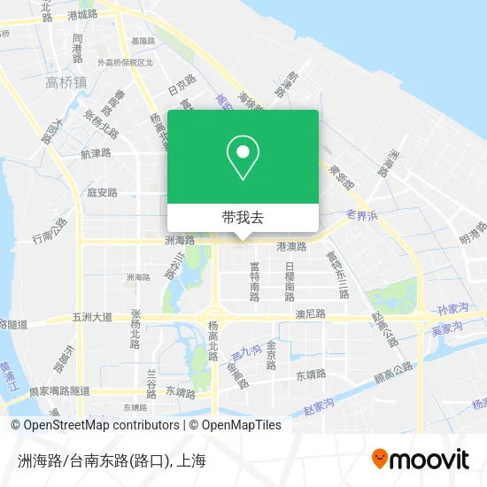 洲海路/台南东路(路口)地图