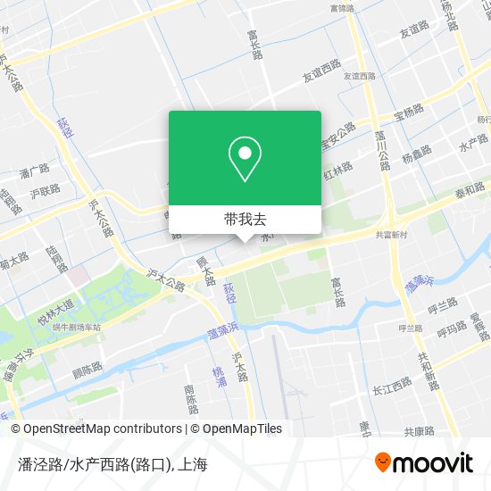 潘泾路/水产西路(路口)地图