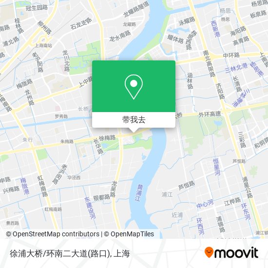 徐浦大桥/环南二大道(路口)地图
