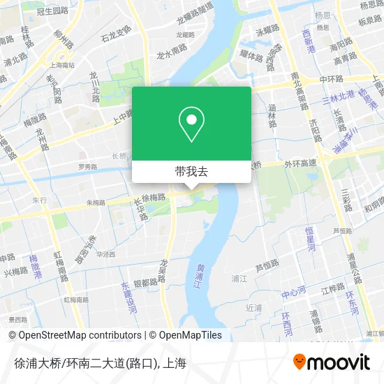 徐浦大桥/环南二大道(路口)地图