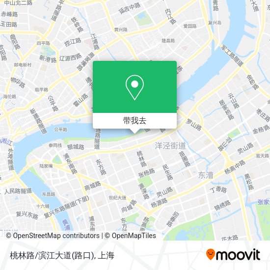 桃林路/滨江大道(路口)地图