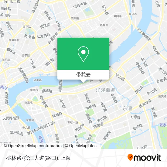 桃林路/滨江大道(路口)地图