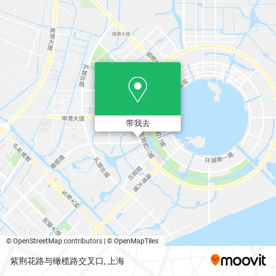 紫荆花路与橄榄路交叉口地图