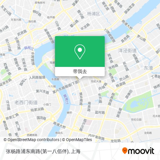张杨路浦东南路(第一八佰伴)地图