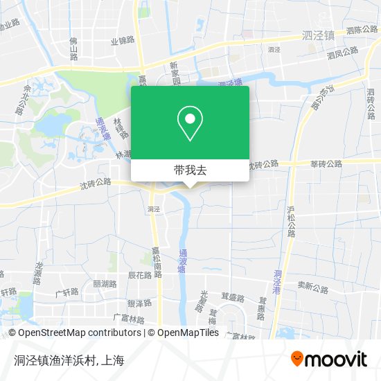 洞泾镇渔洋浜村地图