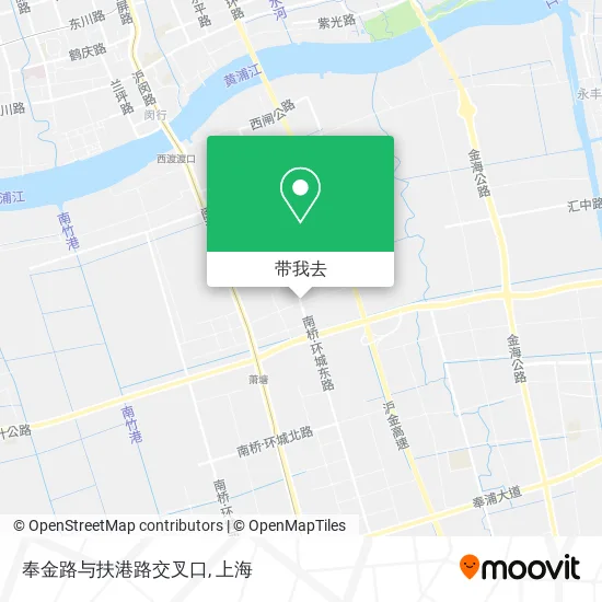 奉金路与扶港路交叉口地图