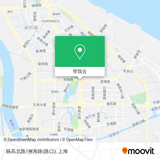 杨高北路/洲海路(路口)地图