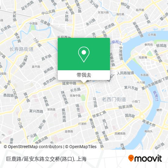 巨鹿路/延安东路立交桥(路口)地图