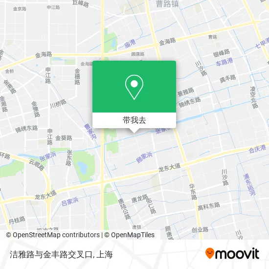 洁雅路与金丰路交叉口地图
