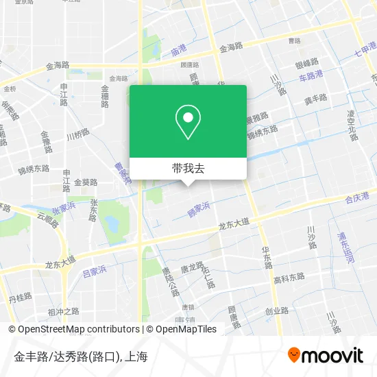 金丰路/达秀路(路口)地图