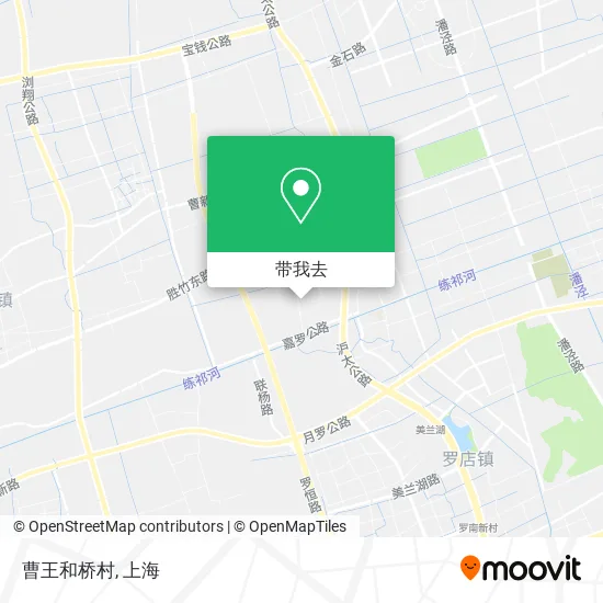 曹王和桥村地图