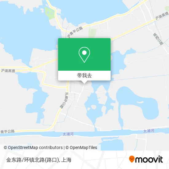 金东路/环镇北路(路口)地图