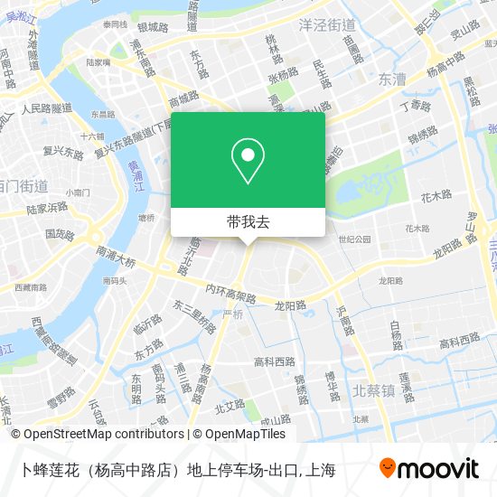 卜蜂莲花（杨高中路店）地上停车场-出口地图