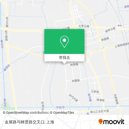 金展路与林贤路交叉口地图
