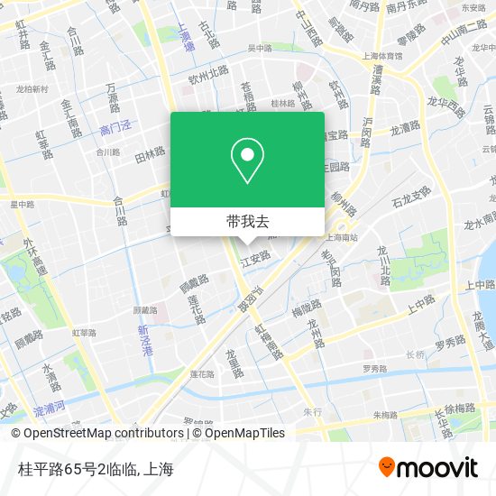 桂平路65号2临临地图