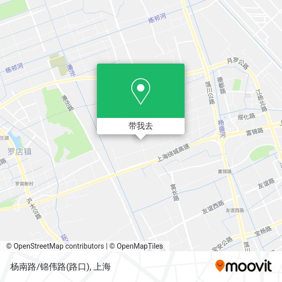 杨南路/锦伟路(路口)地图