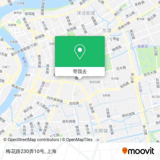梅花路230弄10号地图