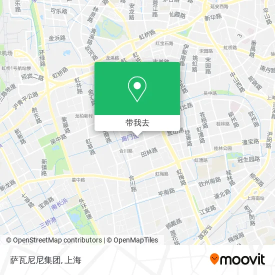 萨瓦尼尼集团地图