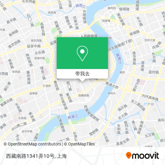 西藏南路1341弄10号地图