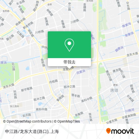 申江路/龙东大道(路口)地图