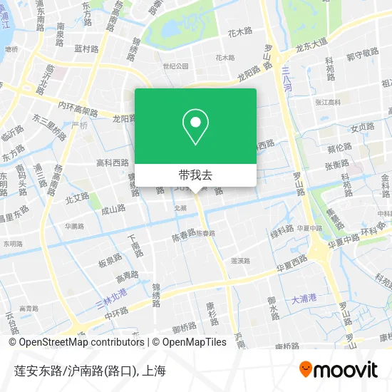 莲安东路/沪南路(路口)地图